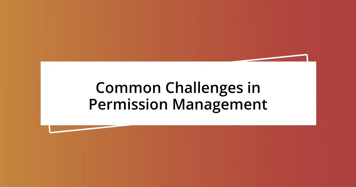 Common Challenges in Permission Management