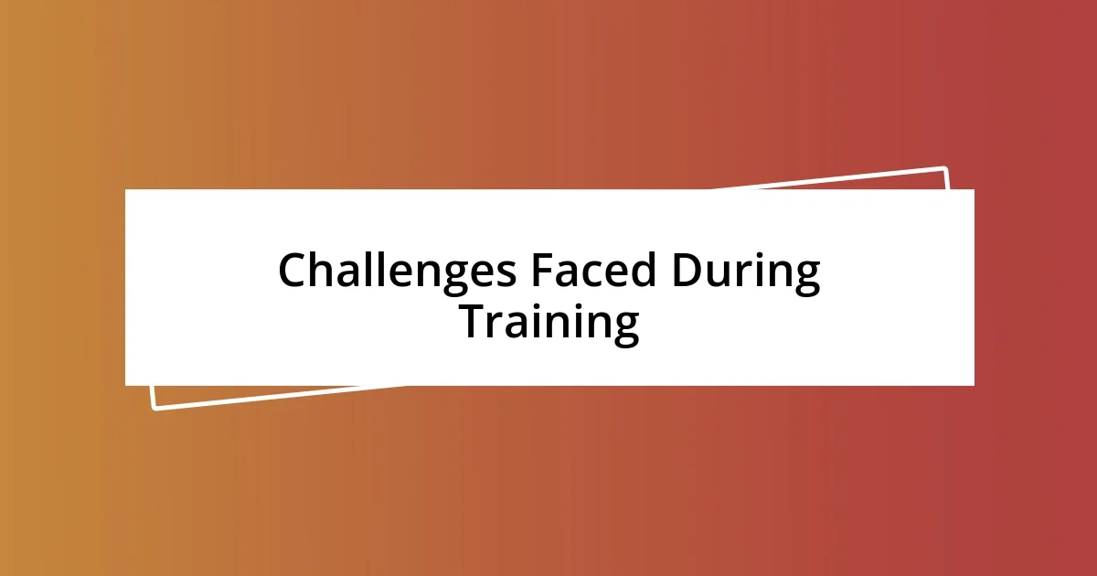 Challenges Faced During Training