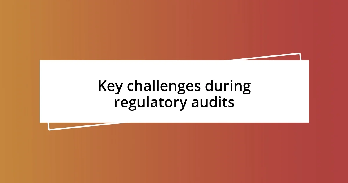 Key challenges during regulatory audits